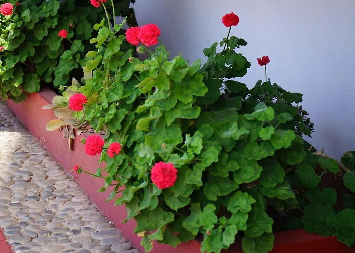 Atlantic Surfers Paradise - Surf, Senderismo Y Piscina Apartmán Bajamar (La Laguna)